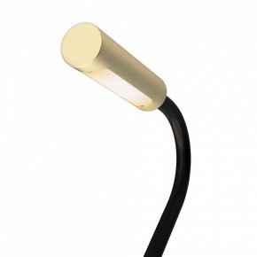 Бра Maytoni Stem C035WL-L3MG3K в Магнитогорске - magnitogorsk.ok-mebel.com | фото 6