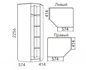 Детская Фанк Шкаф угловой Левый/Правый НМ 013.04-02 М в Магнитогорске - magnitogorsk.ok-mebel.com | фото 3