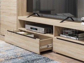 ЭКОЛЬ Гостиная Вариант №3 МДФ (Дуб сонома) в Магнитогорске - magnitogorsk.ok-mebel.com | фото 2