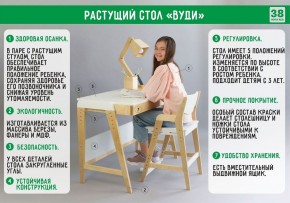 Комплект растущий стол и стул с чехлом 38 попугаев «Вуди» (Серый, Береза, Монстры) в Магнитогорске - magnitogorsk.ok-mebel.com | фото 2