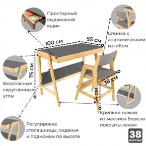 Комплект растущий стол и стул с чехлом 38 попугаев «Вуди» (Серый, Береза, Серый) в Магнитогорске - magnitogorsk.ok-mebel.com | фото