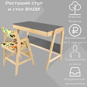 Комплект растущий стол и стул с чехлом 38 попугаев «Вуди» (Серый, Без покрытия, Монстры) в Магнитогорске - magnitogorsk.ok-mebel.com | фото