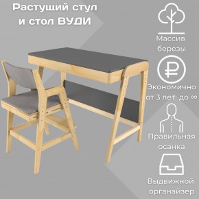 Комплект растущий стол и стул с чехлом 38 попугаев «Вуди» (Серый, Без покрытия, Серый) в Магнитогорске - magnitogorsk.ok-mebel.com | фото