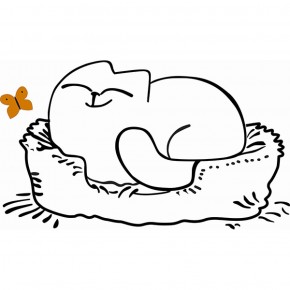 Кровать двухуровневая Кот № 900.1 ЛЕВАЯ (туя светлая/белый) в Магнитогорске - magnitogorsk.ok-mebel.com | фото 2
