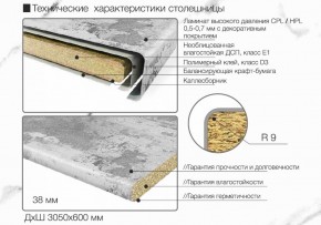 Кухонный фартук со столешницей (А-01) в едином стиле (3050 мм) в Магнитогорске - magnitogorsk.ok-mebel.com | фото 6