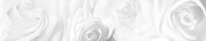 Кухонный фартук Цветы 217 МДФ матовый (3000) Flowers в Магнитогорске - magnitogorsk.ok-mebel.com | фото 1