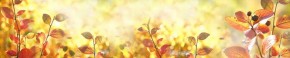 Кухонный фартук Цветы 318 МДФ матовый (3000) Flowers в Магнитогорске - magnitogorsk.ok-mebel.com | фото 1