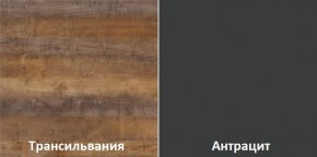 Кухонный гарнитур угловой Трансильвания 2600х1600 мм (Стол. 38 мм) в Магнитогорске - magnitogorsk.ok-mebel.com | фото 3