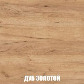 МСП-1 Шкаф 2-х створчатый (Дуб Золотой/Камень темный) в Магнитогорске - magnitogorsk.ok-mebel.com | фото 4