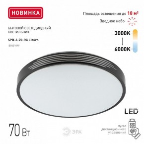 Накладной светильник Эра Классик SPB-6-70-RC Liburn в Магнитогорске - magnitogorsk.ok-mebel.com | фото 10