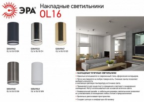 Накладной светильник Эра OL16 GU10 CH Б0049022 в Магнитогорске - magnitogorsk.ok-mebel.com | фото 5