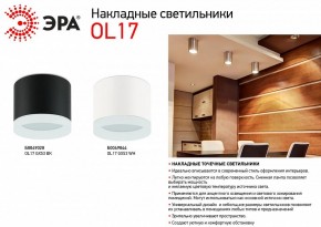 Накладной светильник Эра OL17 GX53 BK Б0049028 в Магнитогорске - magnitogorsk.ok-mebel.com | фото 3