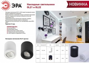 Накладной светильник Эра OL21 BK Б0054393 в Магнитогорске - magnitogorsk.ok-mebel.com | фото 2