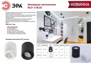 Накладной светильник Эра OL22 WH Б0054394 в Магнитогорске - magnitogorsk.ok-mebel.com | фото 3