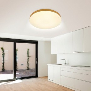 Накладной светильник Эра Relict Relict 48 Pult SPB-6-60-RC MG в Магнитогорске - magnitogorsk.ok-mebel.com | фото 9