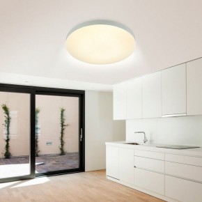 Накладной светильник Эра Relict Relict 48 Pult SPB-6-60-RC WH в Магнитогорске - magnitogorsk.ok-mebel.com | фото 9