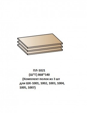ПЛ-1021 (Комплект полок из 3 шт для ШК-1001, 1002, 1003, 1004, 1005, 1007) в Магнитогорске - magnitogorsk.ok-mebel.com | фото