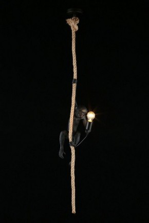 Подвесной светильник Aployt Magali APL.309.16.01 в Магнитогорске - magnitogorsk.ok-mebel.com | фото 3