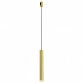 Подвесной светильник Maytoni Focus Led TR155-1-5W3K-BS в Магнитогорске - magnitogorsk.ok-mebel.com | фото
