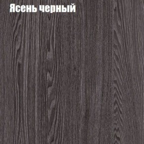 Прихожая ДИАНА-4 сек №6 (Ясень анкор/Дуб эльза) в Магнитогорске - magnitogorsk.ok-mebel.com | фото 3