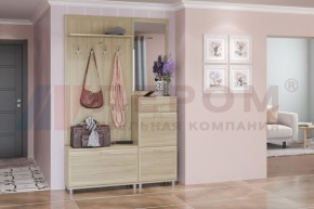 Прихожая Мелисса композиция 8 (Ясень Асахи) в Магнитогорске - magnitogorsk.ok-mebel.com | фото