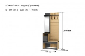 Прихожая "Ольга-Лофт 1" в Магнитогорске - magnitogorsk.ok-mebel.com | фото 4