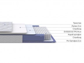 PROxSON Матрас Active Duo S/F (Ткань Трикотаж Эко) 160x195 в Магнитогорске - magnitogorsk.ok-mebel.com | фото