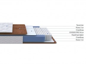 PROxSON Матрас Active F Roll (Ткань Трикотаж Эко) 80x200 в Магнитогорске - magnitogorsk.ok-mebel.com | фото 3