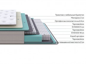 PROxSON Матрас Elysium Soft (Трикотаж Spiral-RT) 90x190 в Магнитогорске - magnitogorsk.ok-mebel.com | фото 10