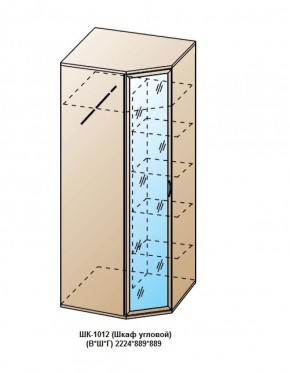 ШК-1012 (Шкаф угловой) в Магнитогорске - magnitogorsk.ok-mebel.com | фото