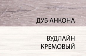 Шкаф 1DW, OLIVIA, цвет вудлайн крем/дуб анкона в Магнитогорске - magnitogorsk.ok-mebel.com | фото 3