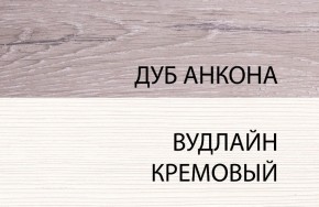 Шкаф 1DZ, OLIVIA, цвет вудлайн крем/дуб анкона в Магнитогорске - magnitogorsk.ok-mebel.com | фото 3