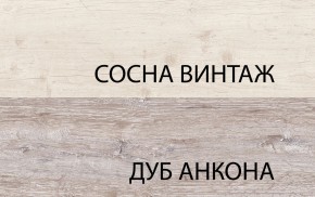 Шкаф 2D1S, MONAKO, цвет Сосна винтаж/дуб анкона в Магнитогорске - magnitogorsk.ok-mebel.com | фото