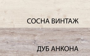 Шкаф 2D1S, MONAKO, цвет Сосна винтаж/дуб анкона в Магнитогорске - magnitogorsk.ok-mebel.com | фото 1