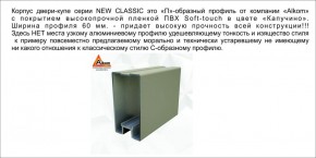 Шкаф-купе 1500 серии NEW CLASSIC K3+K3+B2+PL1 (2 ящика+1 штанга) профиль «Капучино» в Магнитогорске - magnitogorsk.ok-mebel.com | фото 5