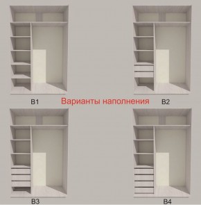 Шкаф-купе 1700 серии SILVER S4+S3Z+B2+PL1 (2 ящика+1 штанга) профиль «Серебро» в Магнитогорске - magnitogorsk.ok-mebel.com | фото 5