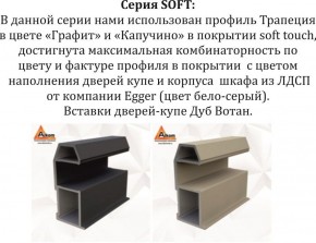 Шкаф-купе 1800 серии SOFT D1+D3+B2+PL1 (2 ящика+1штанга) профиль «Графит» в Магнитогорске - magnitogorsk.ok-mebel.com | фото 11