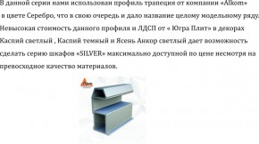 Шкаф-купе 2250 серии SILVER S3+S1+S3Z B22+PL2 (по 2 ящика лев/прав+1штанга+1 полка) профиль «Серебро» в Магнитогорске - magnitogorsk.ok-mebel.com | фото 4