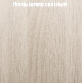 Шкаф-купе «ТАНДЕМ» 2-х дверный в алюминиевом профиле (Дверь К+К) 1200/h2200 в Магнитогорске - magnitogorsk.ok-mebel.com | фото 6