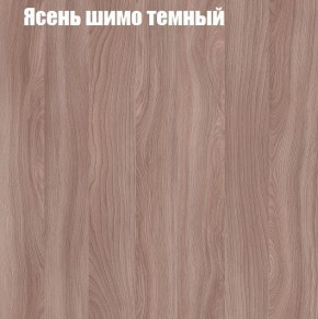 Шкаф-купе «ТАНДЕМ» 2-х дверный в алюминиевом профиле (Дверь К+К) 1200/h2200 в Магнитогорске - magnitogorsk.ok-mebel.com | фото 7