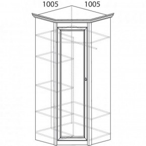 Шкаф угловой №662 "Флоренция" Фасад глухой (угол 1005*1005) Дуб оксфорд в Магнитогорске - magnitogorsk.ok-mebel.com | фото 3