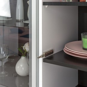 Шкаф-витрина 13.201 Сидней в Магнитогорске - magnitogorsk.ok-mebel.com | фото 2