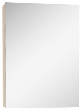Шкаф-зеркало Мечта 40 Дуб сонома АЙСБЕРГ (DM2317HZ) в Магнитогорске - magnitogorsk.ok-mebel.com | фото