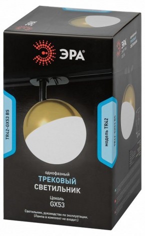 Светильник на штанге Эра  TR42-GX53 BS в Магнитогорске - magnitogorsk.ok-mebel.com | фото 6