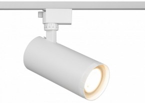 Светильник на штанге Эра  TR59 - 3030 WH в Магнитогорске - magnitogorsk.ok-mebel.com | фото