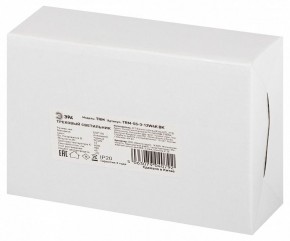 Светильник на штанге Эра  TRM-S5-3-12W4K-BK в Магнитогорске - magnitogorsk.ok-mebel.com | фото 8